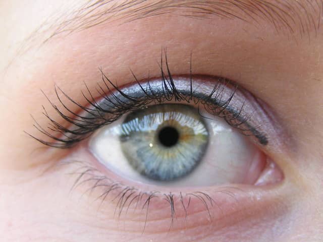 Oculofacial plastic surgery